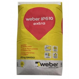 Weber IP610 Extra -...